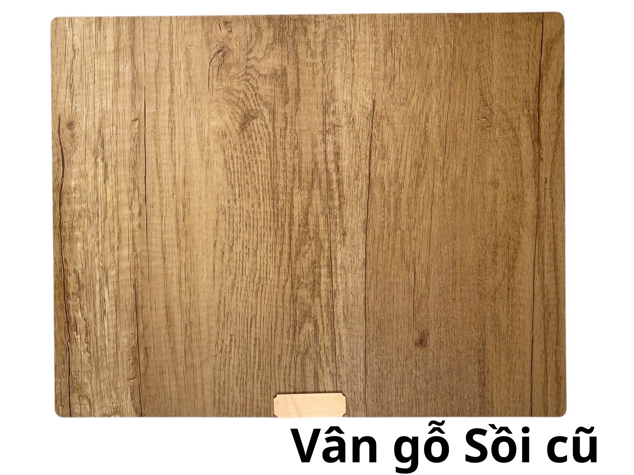 z7183620209824_5d8f36dfb98119df4778f7f16ca3aac5